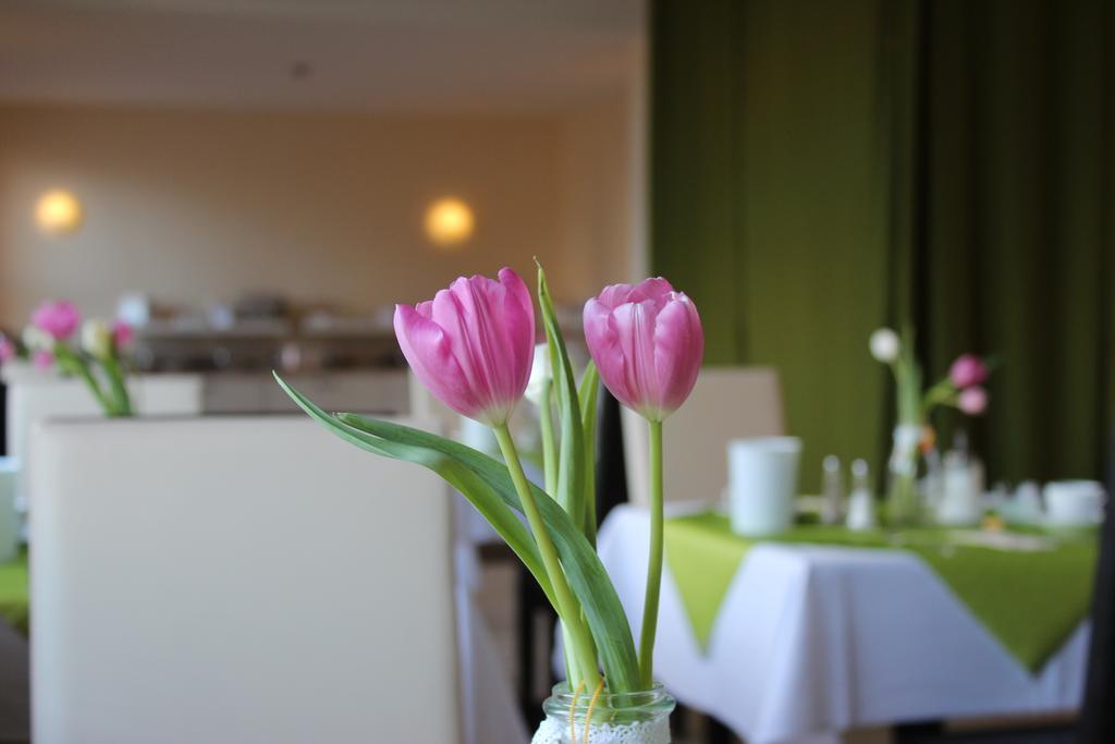 פנמינדה Hotel Und Restaurant "Zur Zwiebel" מראה חיצוני תמונה